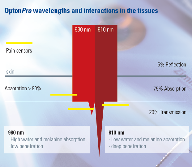 980nm depth of penetration was Remarkable, 980nm depth of penetration
